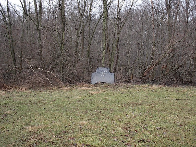 Concrete barrier in a wooded area with grass in the foreground