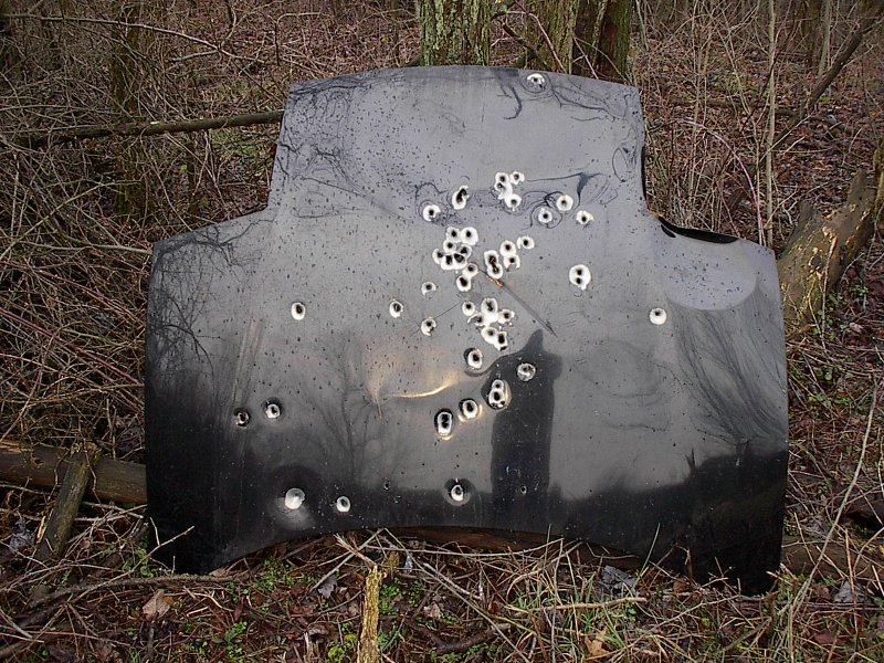 Black car hood with many bullet holes lying in the woods