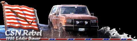 1988 Ford Bronco - My sig