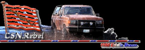 1988 Ford Bronco - My sig 1