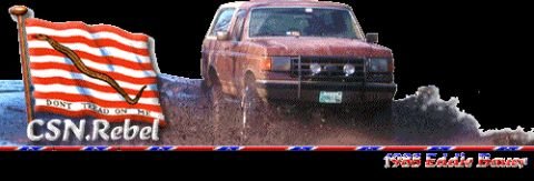 1988 Ford Bronco - My sig2