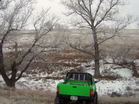 1995 Ford Bronco - A bright green pickup truck is parked in a winter landscape with snow on the ground and frost on the trees.