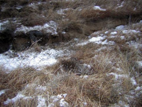 1995 Ford Bronco - A winter scene shows patches of snow scattered across a hillside covered in dry, brown grass.