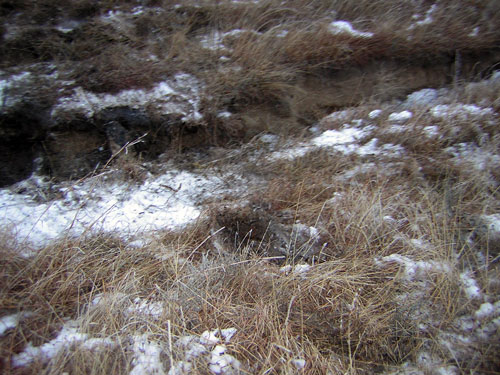 snow patches on a hillside covered in dry grass