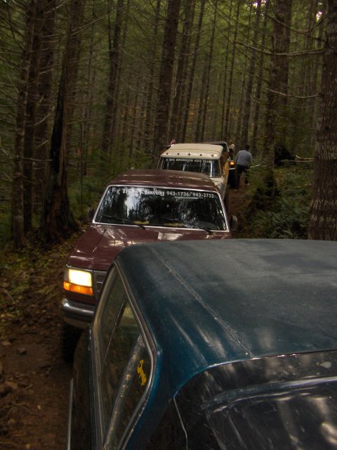 1978 Ford Bronco - Multiple SUVs navigate a wooded trail, with a maroon vehicle in the foreground and a white one behind it.