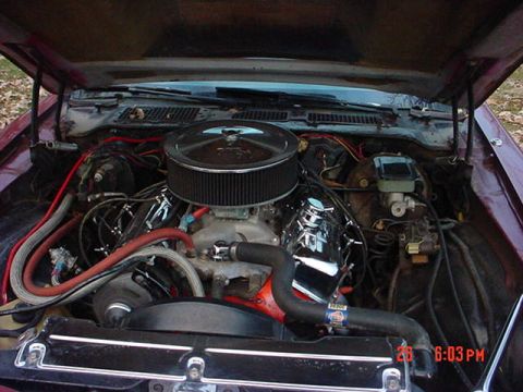 1981 Chevrolet Camaro photo