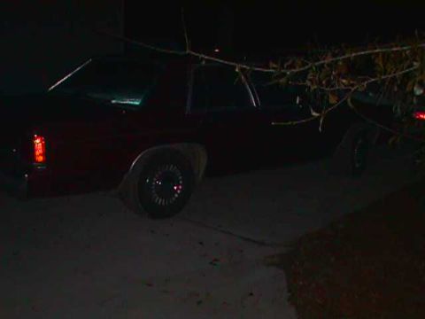 1994 Ford Crown Victoria - A dark sedan is parked outside at night, partially hidden by tree branches.