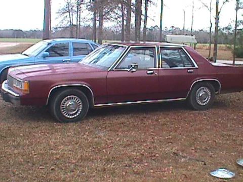 1994 Ford Crown Victoria - Two sedans are parked outdoors on a grassy area with trees in the background.