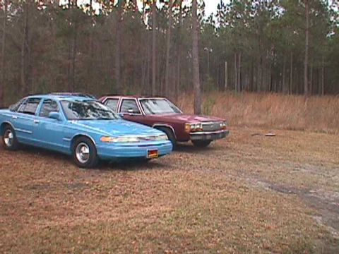 1994 Ford Crown Victoria - Two sedans are parked on a dry, grassy area with a line of trees in the background.
