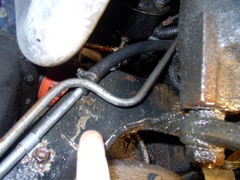 1986 Ford Bronco - Started by undoing the low pressure return line's hose clamp, visible on hose.