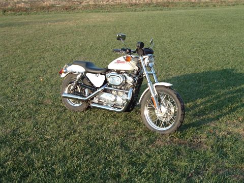 1995 Mercury Grand Marquis - White Harley-Davidson motorcycle on a grassy field.