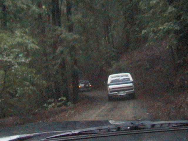Two SUVs driving on a dirt road through a forest