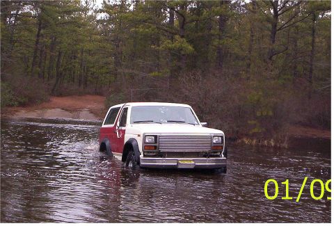 1985 Ford Bronco “ToyEater”