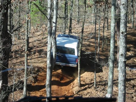 1978 Ford Bronco - 1978 Ford Bronco navigating a wooded trail.