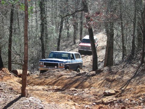 1978 Ford Bronco - Two SUVs navigate a challenging off-road trail through a dense forest.