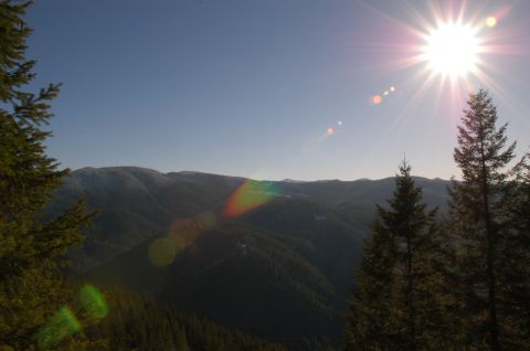 1995 Ford Bronco - A bright sun shines over a forested mountain range, with trees in the foreground and a clear blue sky.