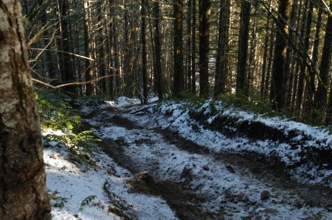 1995 Ford Bronco - A muddy forest road with snow is visible, with tire tracks indicating recent passage.