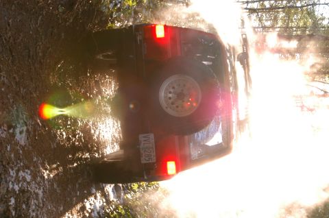 1995 Ford Bronco - 1995 Ford Bronco navigating a muddy, wooded trail with bright sunlight.