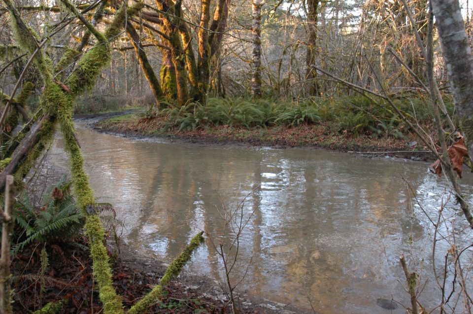 large water hole that i crossed then and told my jeep friend to follow me