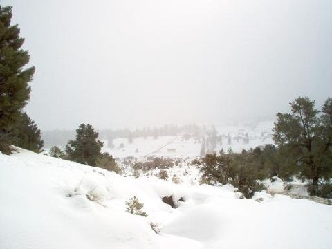 1988 Ford Bronco - A winter scene shows snow-covered ground, pine trees, and a village in the distance.