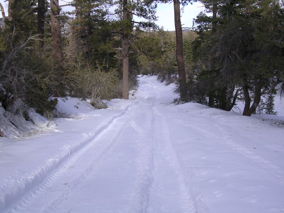 Snowy forest road with tire tracks and SUPERMOTORS.NET watermark