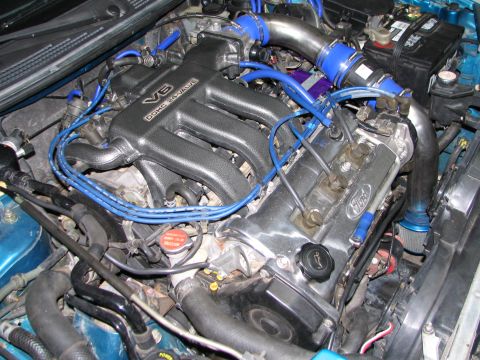 1994 Ford Probe - Close-up view of a modified Ford V6 engine, custom blue hoses and wiring.