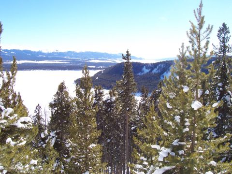 1994 Ford Bronco - A winter scene unfolds with snow-covered pine trees in the foreground and a vast, frozen lake in the distance.