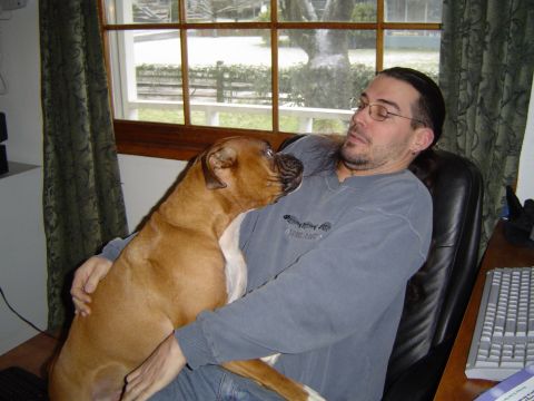 1989 Ford Bronco - A man sits indoors with a boxer dog in his lap, looking out a window.