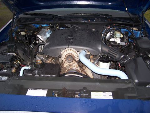 1998 Ford Crown Victoria - A little elbow grease and she shines again.