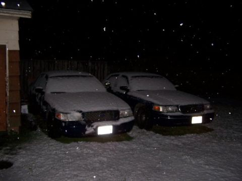1998 Ford Crown Victoria - Beasts see snow.