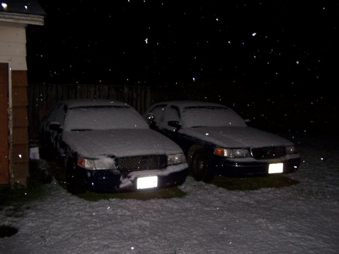 Beasts see snow.
