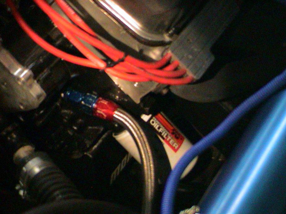 Oil filter with red and blue fittings and braided hose attached