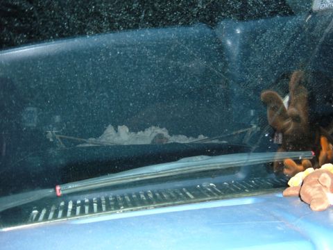 1985 Ford F-150 - Interior view of a dusty vehicle dashboard with stuffed animals visible on the passenger side.