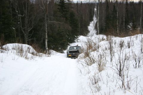 2003 Jeep TJ - A truck navigates a snow-covered path through a forest.