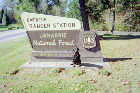1996 Ford Bronco - Uwharrie