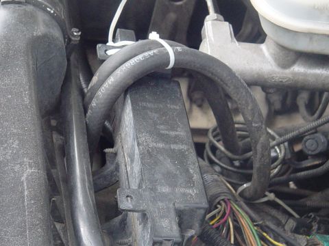 1989 Ford Bronco - Engine bay view shows various hoses and electrical components, including a fuse box labeled 'TRAILER TOW'.