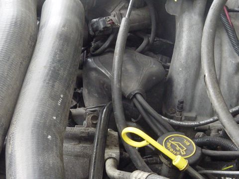 1989 Ford Bronco - Distrinuter boot off of a lincoln town car. got it for free!!! It helps alot when splashing throough puddles and mud holes.