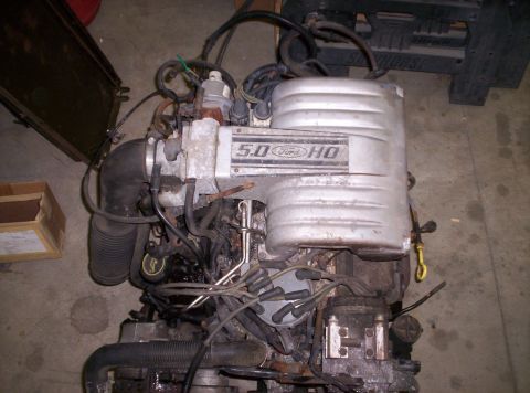 1993 Ford Bronco - w00t