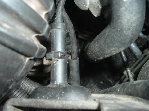 1994 Ford Probe - Engine bay detail showing hoses and a plastic component.