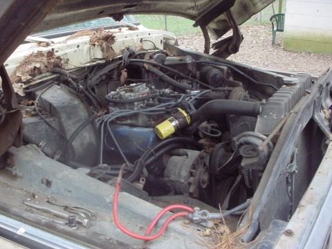 1979 Ford Bronco - The engine compartment of an older vehicle shows its mechanical components, including the carburetor and radiator.