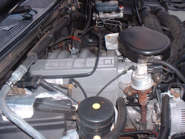 Engine bay of a 1995 Ford Bronco, showing the 5.8L V8 engine with intake manifold, air filter housing, and brake fluid reservoir