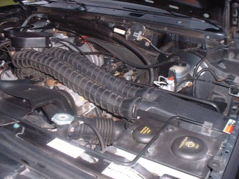 1995 Ford Bronco - Close-up view of an engine bay, prominent ribbed intake hoses and various fluid reservoirs.