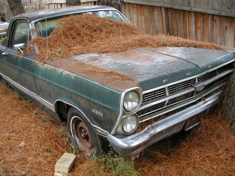 Dark green Ford Ranchero covered in pine needles with rusty hood and flat tire, parked by a wooden fence