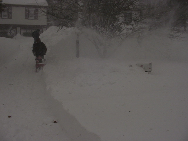 Person running a snowblower up a driveway during a heavy snowstorm