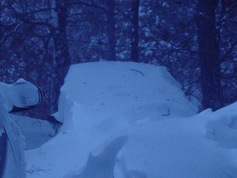 1995 Ford Mustang - A vehicle is heavily covered in snow, with trees visible in the background.