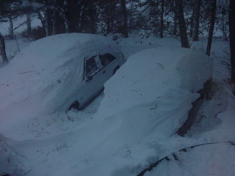 1995 Ford Mustang - Two vehicles are completely buried under a thick blanket of snow in a forest.