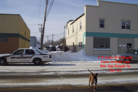 1996 Ford Bronco - A dog runs past a parked Sheriff's car on a snowy day in front of a building.