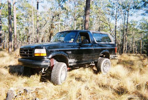 1996 Ford Bronco - A black 1996 Ford Bronco is shown in a wooded area with dry grass and trees.