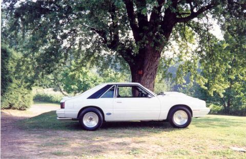 1980 Mercury Capri photo