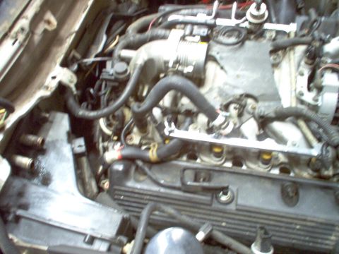 1994 Ford Crown Victoria - Close-up view of an engine bay, showing various components and wiring.